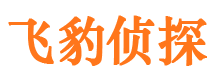 元宝市私家侦探